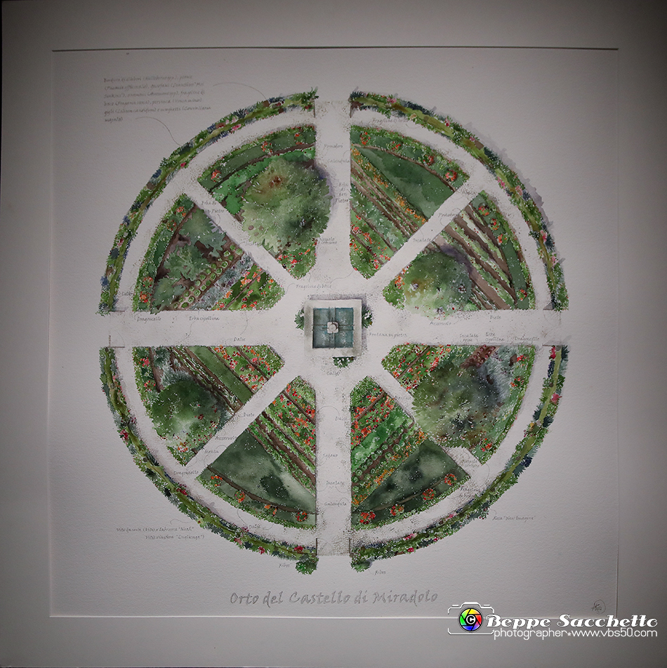 VBS_1418 - Castello di Miradolo - Mostra Oltre il giardino l'Abbecedario di paolo Pejrone.jpg